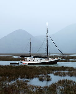 sailboat on body of water thumbnail