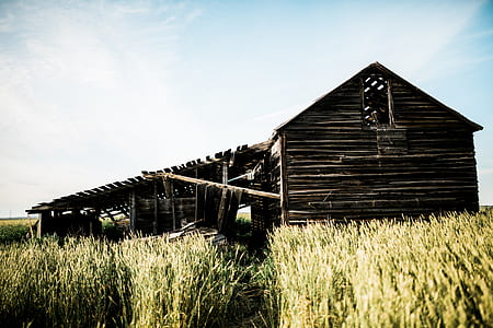 brown wooden barn house near green field at daytime thumbnail
