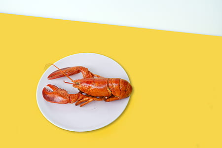 lobster on top plate thumbnail