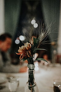selective focus photography of flowers in vase near table thumbnail