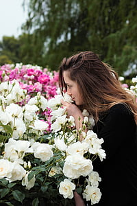 closeup photo of woman smelling white rose flower thumbnail