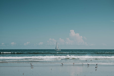 white sailboat near beach thumbnail