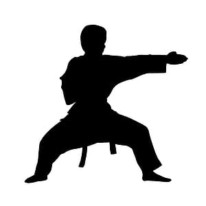 Silhouette of martial artist. thumbnail