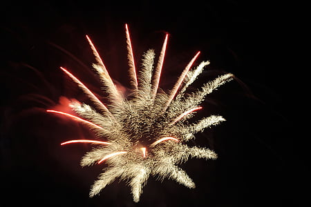 fireworks display thumbnail