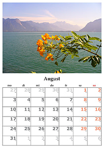 orange petaled flowers in front ocean thumbnail