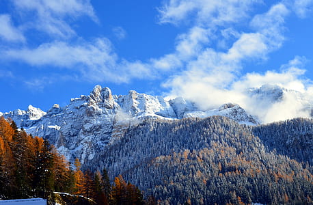 mountain cover by trees thumbnail