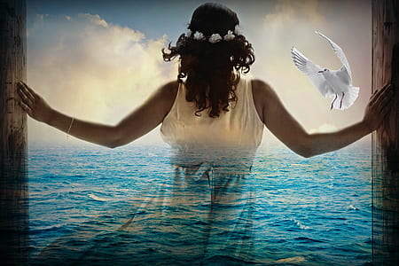 woman wearing white sleeveless dress and dove fronting body of water thumbnail