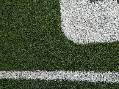 green and white grass lawn thumbnail