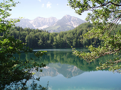 body of water surrounded by green leaf trees thumbnail