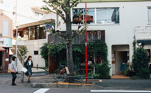 two women standing near bicycle and red post at daytime thumbnail