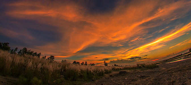 grass under yellow and blue sky thumbnail