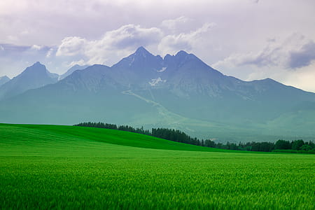 Landscape high mountains. Landscape in the fields at night. thumbnail