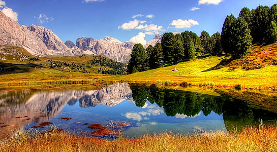 calm body of water surrounded by trees and mountains thumbnail