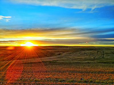 green field with red flowers horizon thumbnail