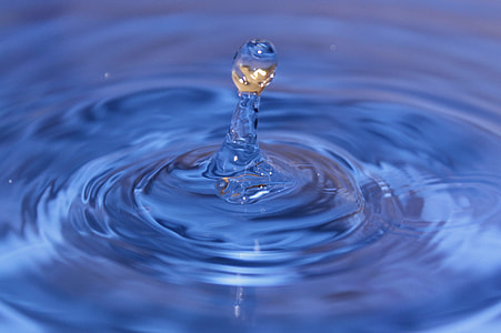 focus photography of water drop thumbnail