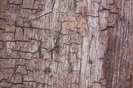 wood, structure, fund, driftwood, old, weathered thumbnail