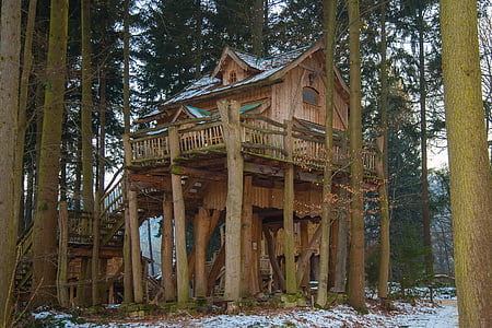 brown tree house surrounded by trees thumbnail