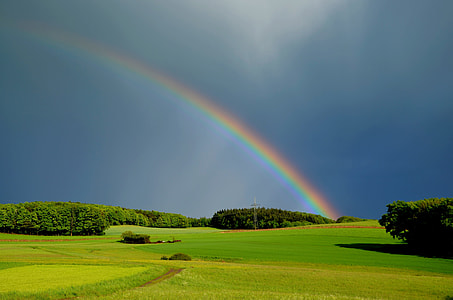 photo of rainbow with trees and grasses during daytime thumbnail