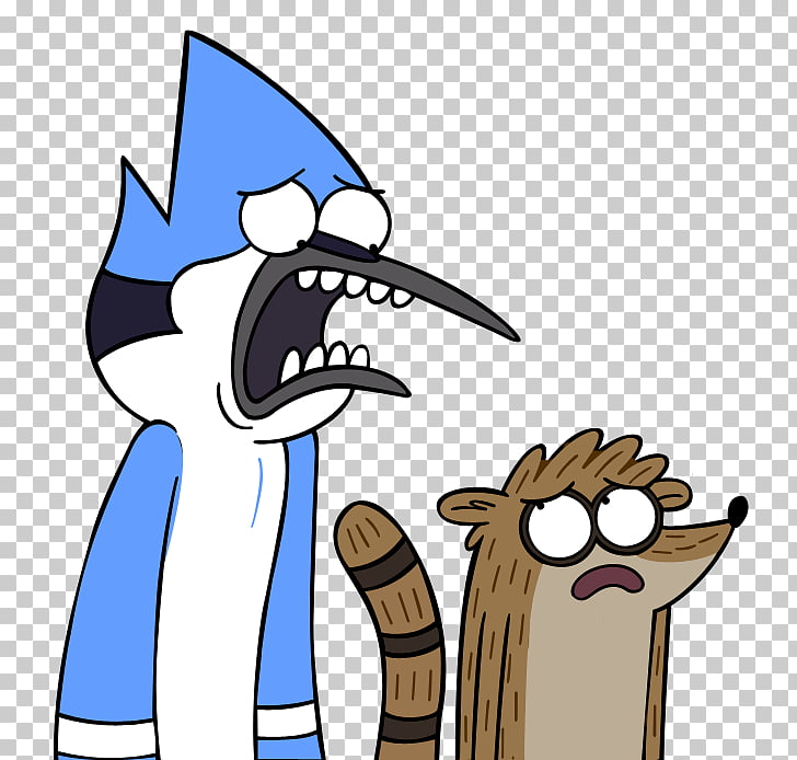 Cartoon Network Bird And Raccoon