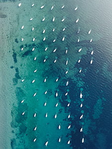 aerial photo of boats on body of water during daytime thumbnail
