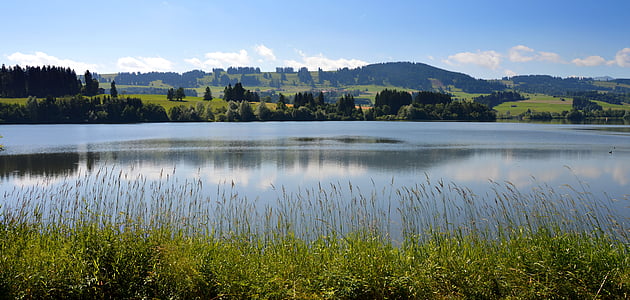green grass beside body of water thumbnail