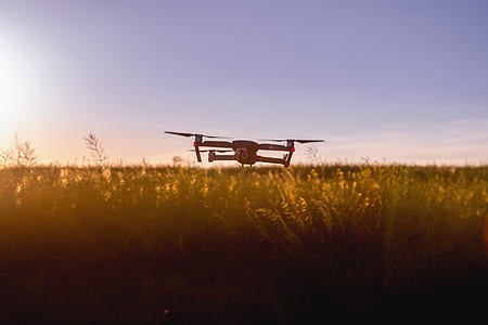 quad copter drone near flowers thumbnail