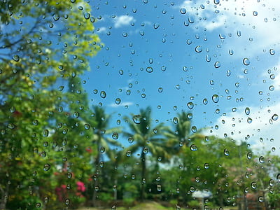 sky, clouds, trees, glass thumbnail