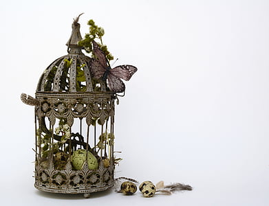 quail egg in dome black metal birdcage thumbnail