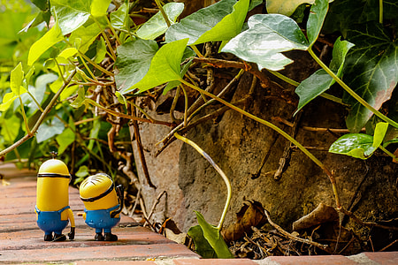 two minion character standing beside rock at daytime thumbnail