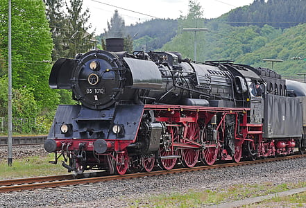 red and black train near trees during daytime thumbnail