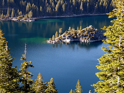 island with trees thumbnail