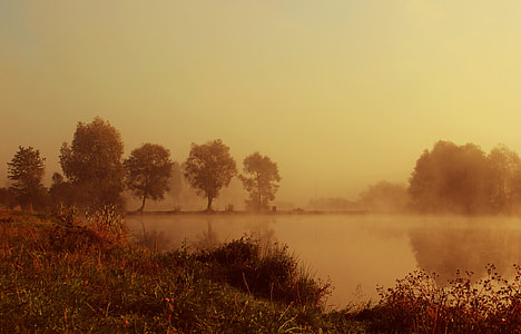 lake surrounded by trees thumbnail