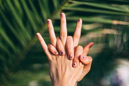 person hand beside green tree thumbnail