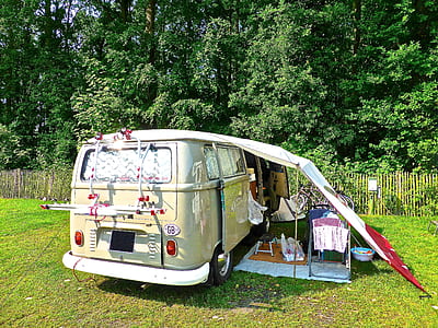 white bus on grass field thumbnail