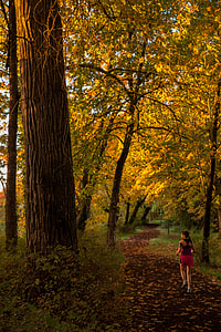 woman standing on pathway surrounded by trees thumbnail