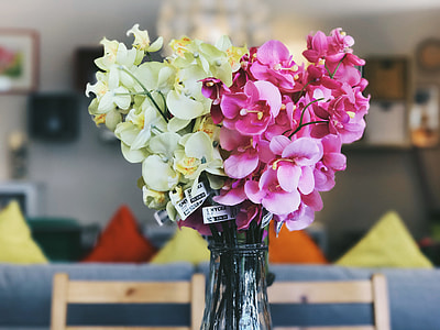 yellow and pink flower in glass vase thumbnail