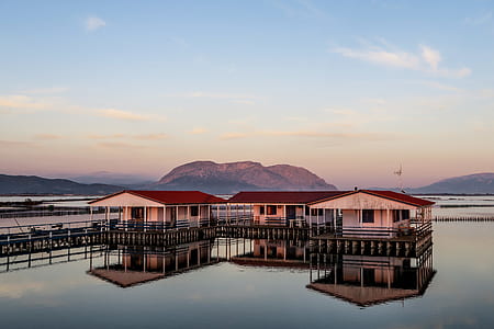 white houses on body of water thumbnail