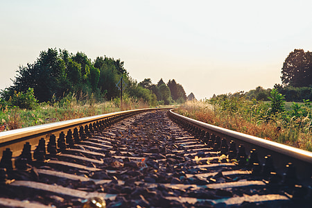 railroad with surrounding green plants and trees thumbnail