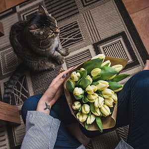 white tulip flowers bouquet beside brown and black cat thumbnail