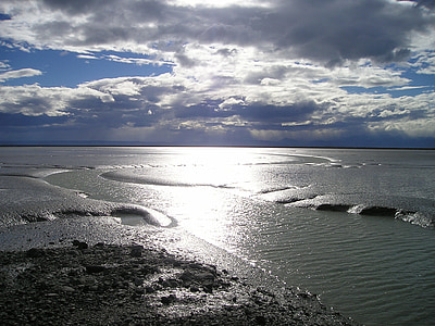 seashore under blue and white sky thumbnail