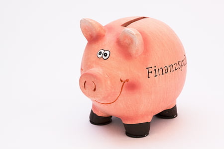 pink piggy bank thumbnail