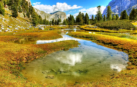 body of water and green grass field at day time thumbnail