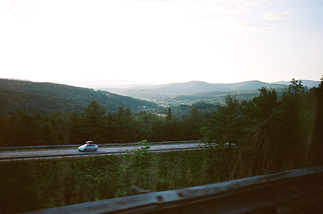 photography of gray vehicle crossing the road near trees thumbnail