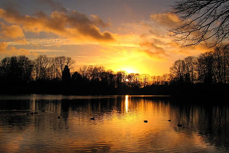 forest and calm body of water sunset photography thumbnail