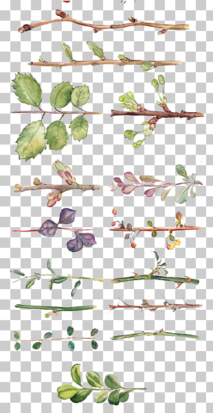 Flower Watercolor painting Drawing Floral design, All kinds of hand-painted watercolor leaves and branches, twig illustration collection PNG clipart