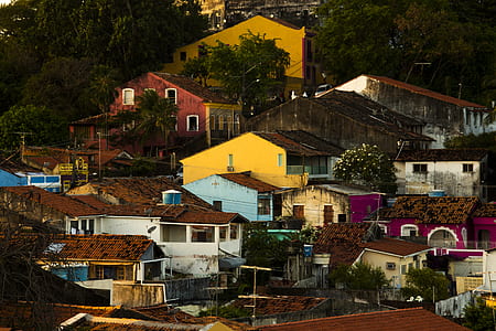 houses surrounded by trees thumbnail