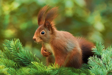 selective focus photography of brown squirrel on green pine tree thumbnail