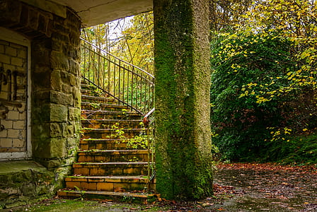 photo of pillar with moss thumbnail