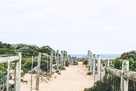 widening pathway leading to seashore thumbnail