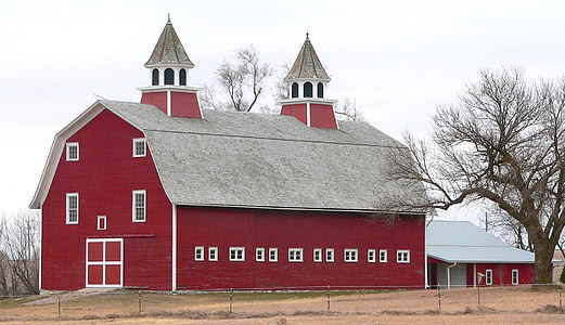 red and gray barn near bare tree thumbnail